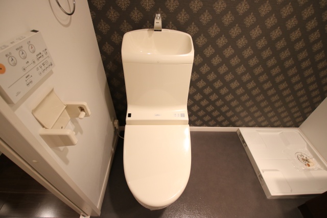 infinity plus(インフィニティプラのトイレ写真
