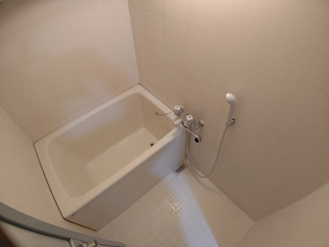 グリーンパレス小泉の風呂写真