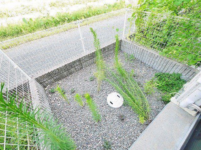近鉄橿原線 筒井駅 徒歩10分 2階建 築27年のその他写真