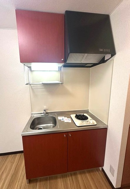 キッチン　一人暮らしに欠かせないキッチンです☆場所を取るお鍋やお皿もす