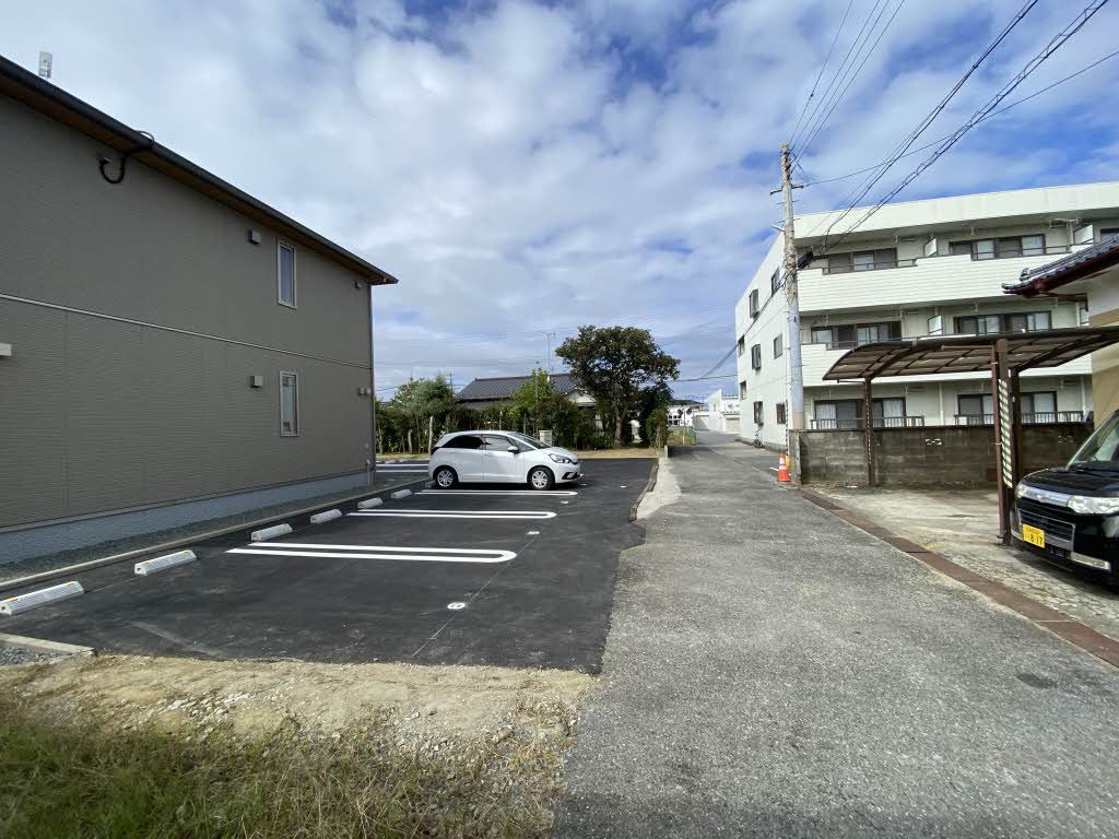 Solanaのその他写真