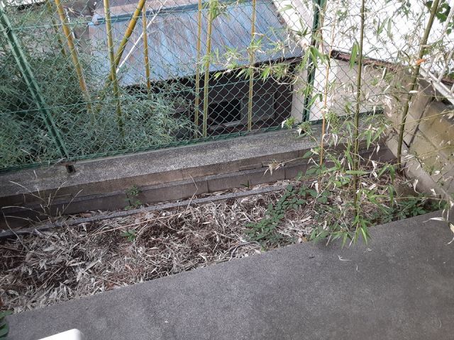 THT藤が丘のその他写真