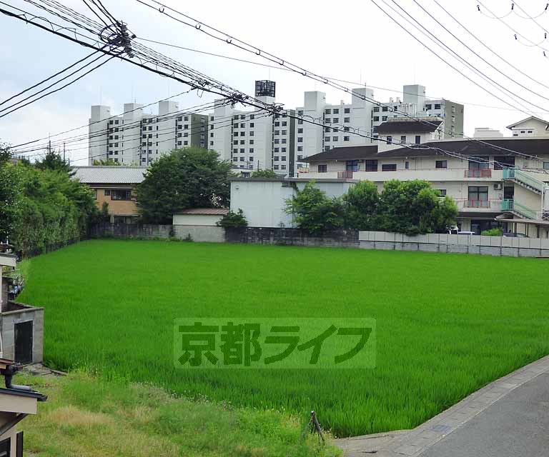 眺望　見晴らし良好です