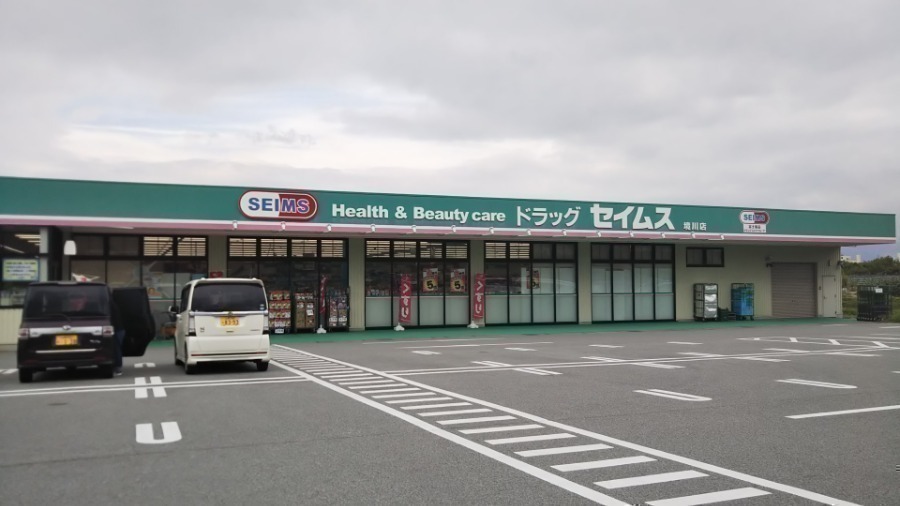ドラックストア　ドラッグセイムス境川店（ドラッグストア）まで2641m