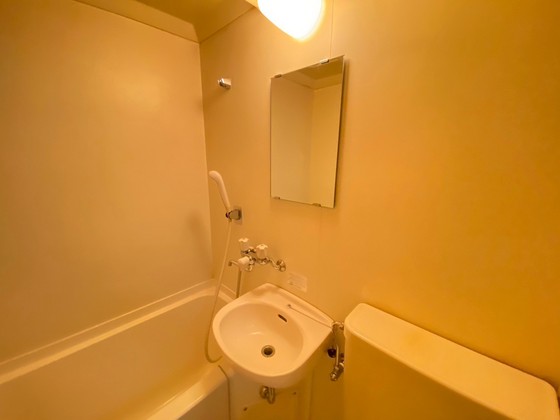 洗面設備　＊別号室の写真です