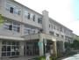 小学校　西宮市立　甲東小学校（小学校）まで516m