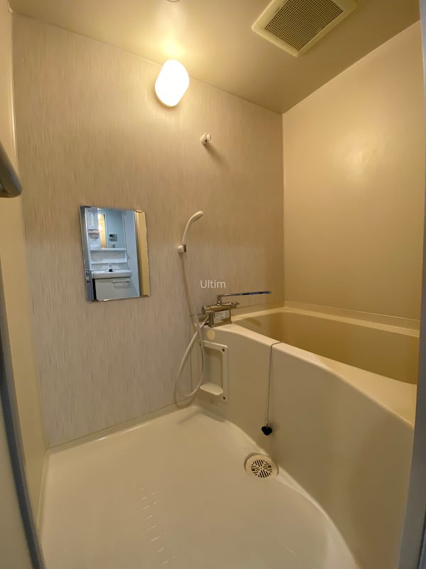 バス・シャワールーム　※同タイプの他のお部屋です