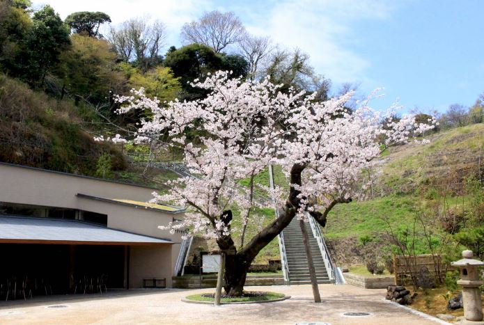 公園　金沢八景権現山公園（公園）まで497m