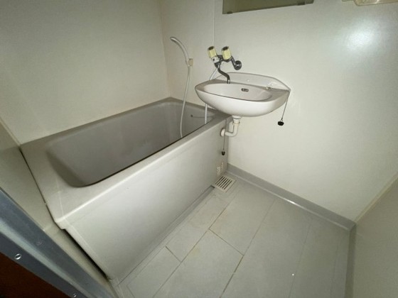 バス・シャワールーム　※別号室の写真です。