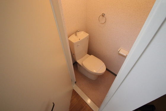 トイレ　※別号室の写真です