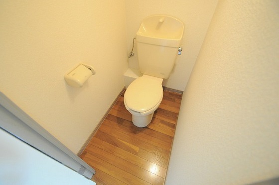 トイレ　※他号室の写真です