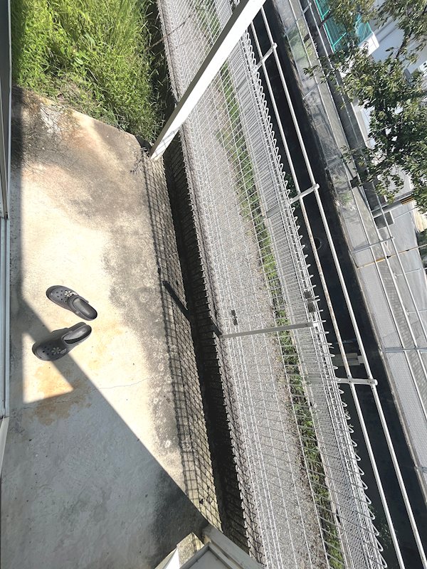 庭　101の写真です