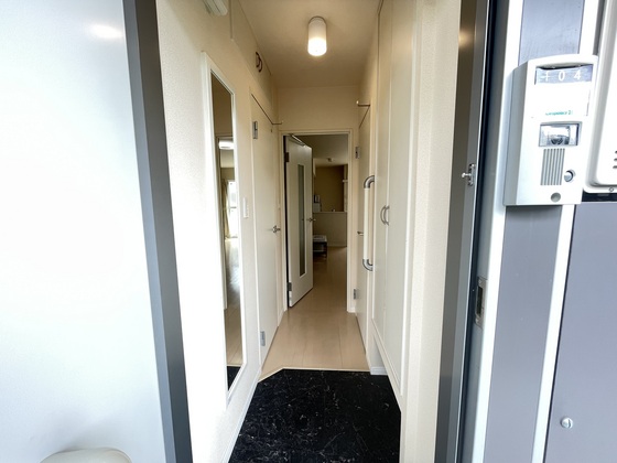 玄関　※別部屋の写真です
