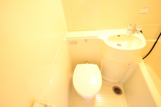 トイレ　※別号室の写真です