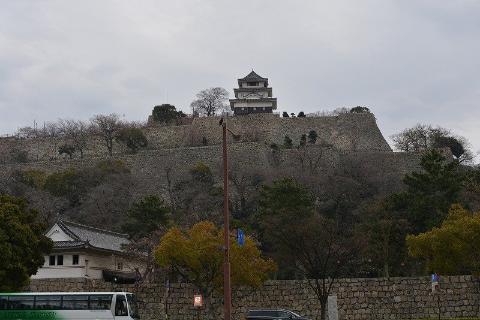 その他　丸亀城（その他）まで1676m
