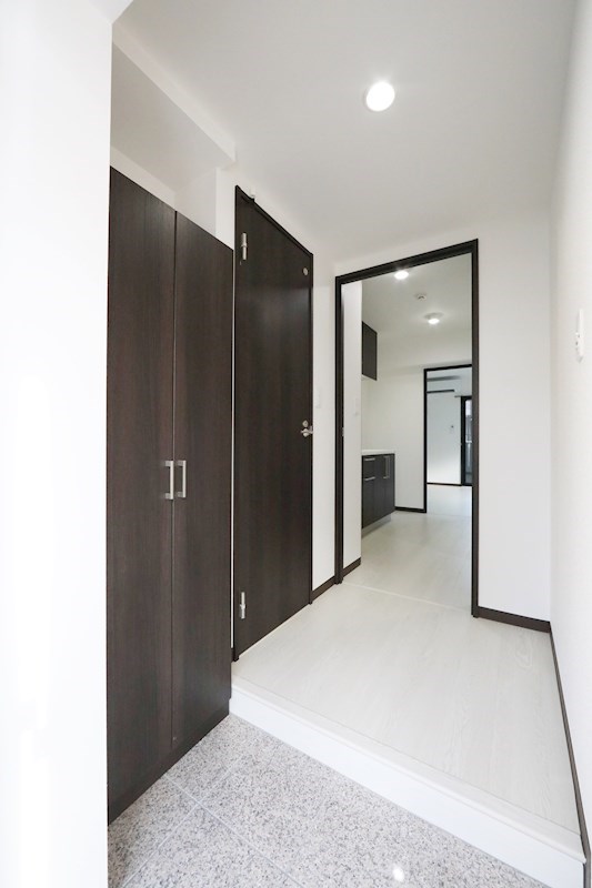 玄関　玄関　シューズボックス