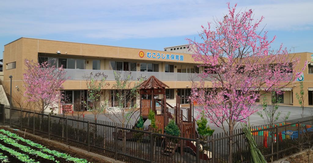 幼稚園・保育園　むこうじま保育園（幼稚園・保育園）まで520m