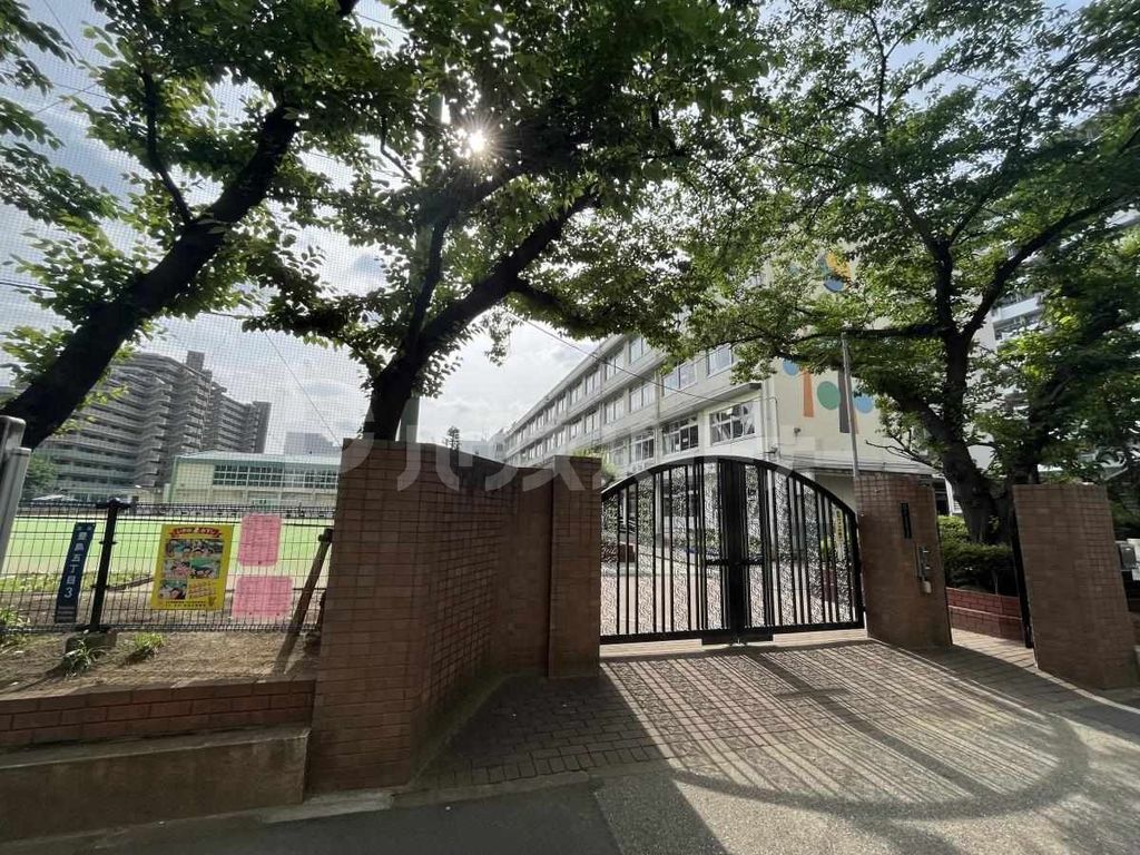 小学校　北区立としま若葉小学校（小学校）まで450m