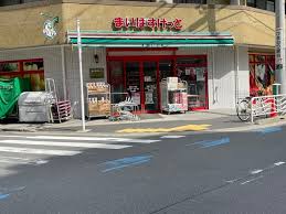 スーパー　まいばすけっと東陽5丁目店（スーパー）まで245m