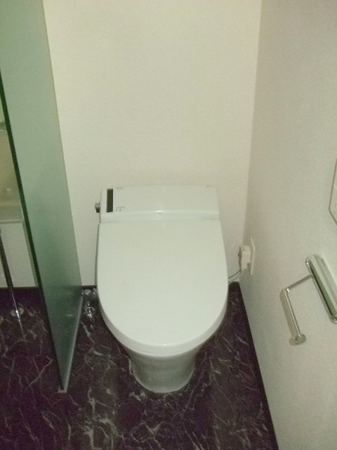 トイレ　※同仕様写真含む