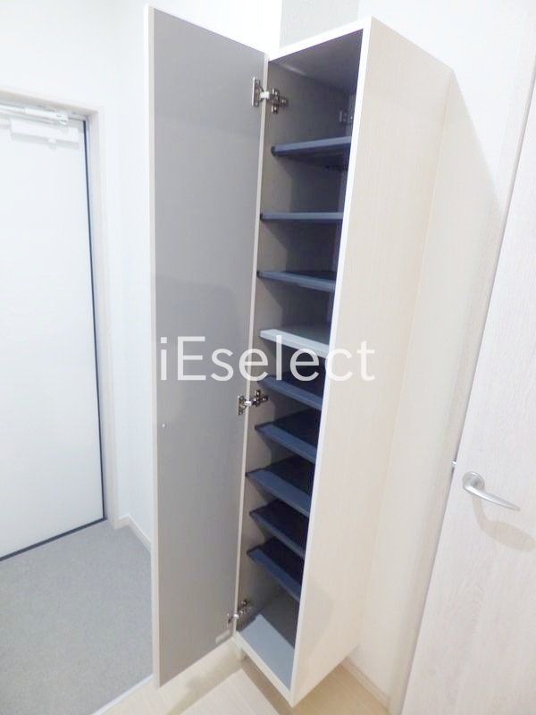 その他　シューズボックス付きの玄関