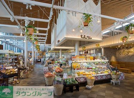 スーパー　るるビオ・エピスリー星が丘（スーパー）まで160m