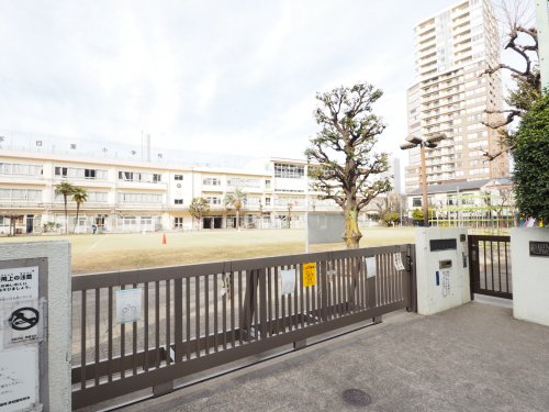 小学校　下目黒小学校（小学校）まで802m