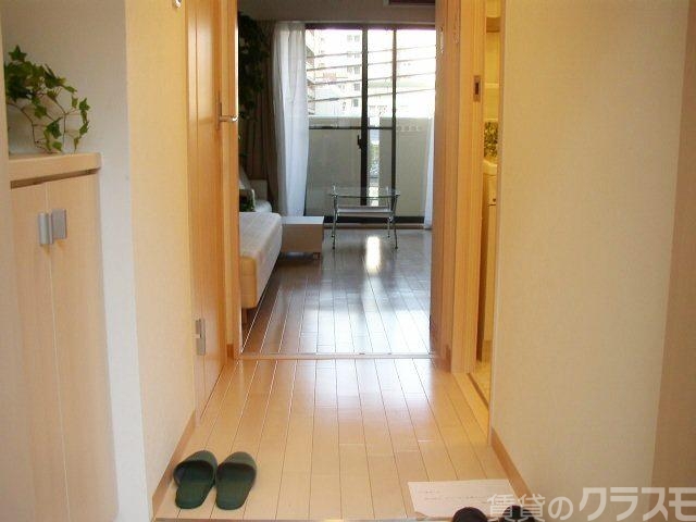 玄関　玄関からの眺めです！