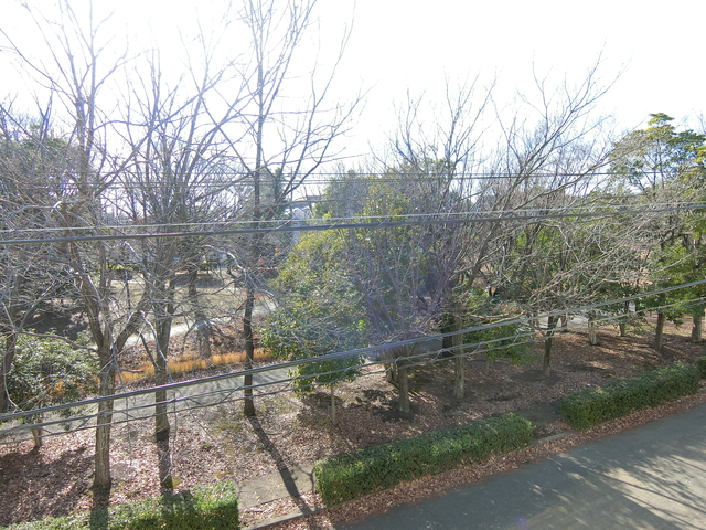 眺望　イメージ写真