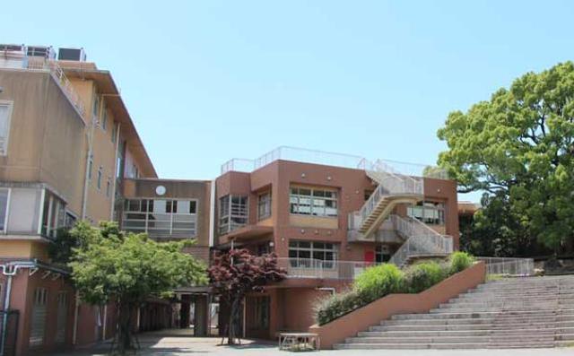 小学校　川崎市立向丘小学校（小学校）まで642m