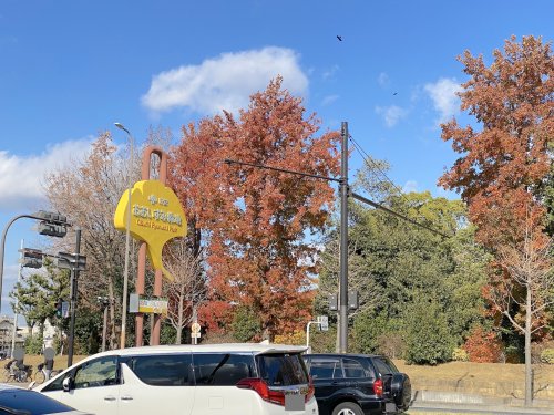 公園　大阪府営 大泉緑地（公園）まで476m