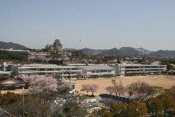 中学校　姫路市立　白鷺中学校（中学校）まで1526m