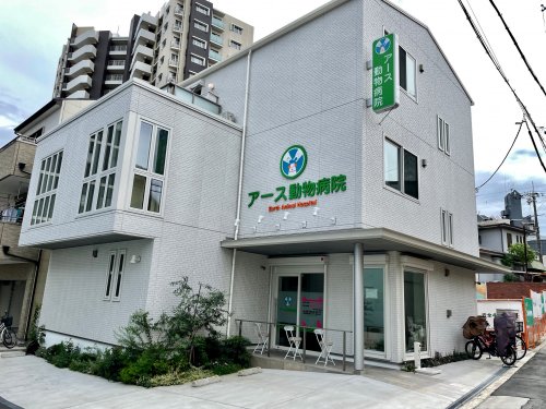 病院　アース動物病院（病院）まで1244m
