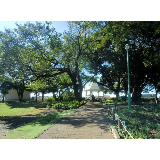 公園　山手公園（公園）まで770m