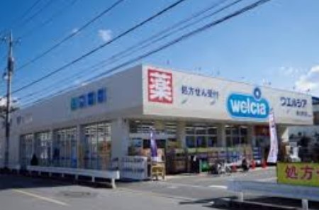 ドラックストア　ウエルシア板橋志村店（ドラッグストア）まで341m