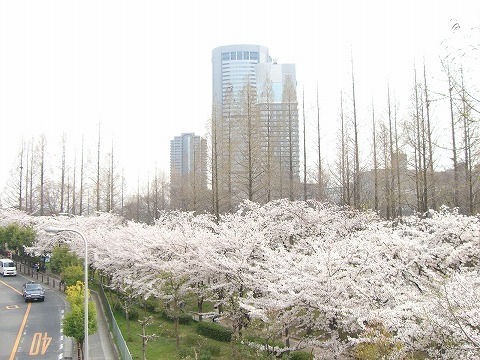 UR桜宮リバーシティ中央の外観写真