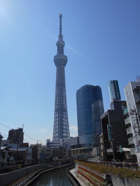その他　東京スカイツリー（その他）まで713m