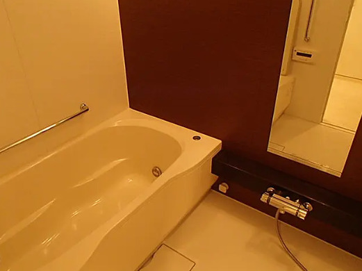 バス・シャワールーム　参考写真です