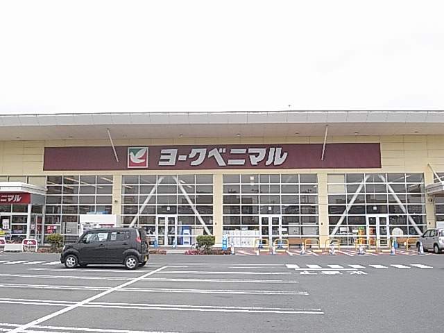 スーパー　ヨークベニマル新田東店（ヨークタウン内）（スーパー）まで244m