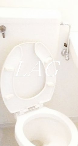 トイレ　トイレです。