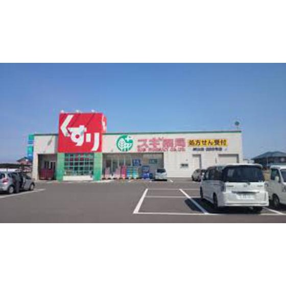 ドラックストア　スギ薬局城山店（ドラッグストア）まで769m