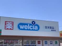 ドラックストア　金光薬品倉敷林店（ドラッグストア）まで974m