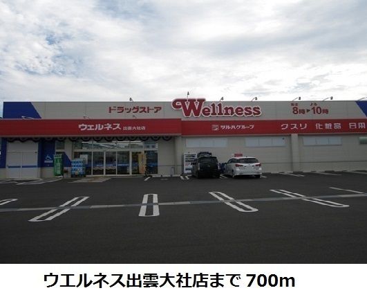 ドラックストア　ウエルネス出雲大社店（ドラッグストア）まで700m