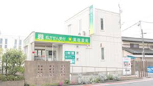 ドラックストア　薬樹薬局西保木間（ドラッグストア）まで555m