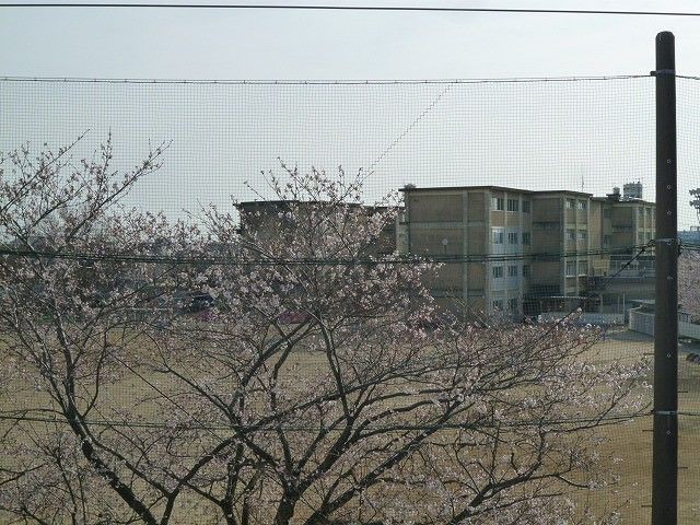 小学校　浜松市立瑞穂小学校（小学校）まで823m