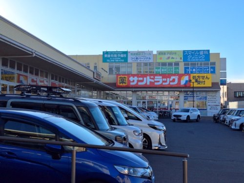 ドラックストア　サンドラッグ 大宮日進店（ドラッグストア）まで332m