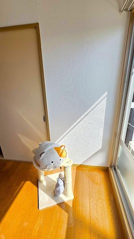 その他　【イメージ】ペットとの暮らし