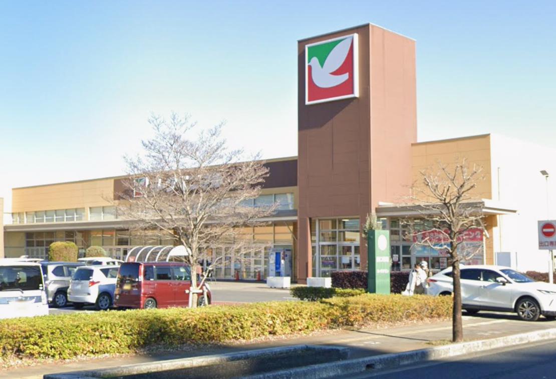 スーパー　ヨークベニマル赤塚店（スーパー）まで1058m