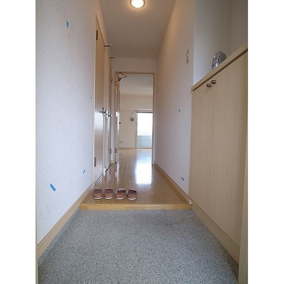 玄関　※別部屋写真。現況優先。