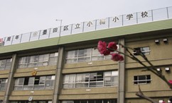 小学校　小梅小学校（小学校）まで335m